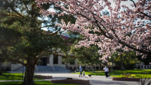 From the President – EOU opens campus to those affected by wildfires